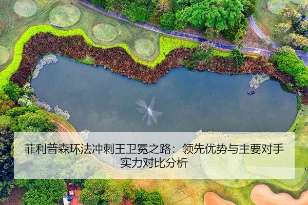 fei-li-pu-sen-huan-fa-chong-ci-wang-wei-mian-zhi-lu-ling-xian-you-shi-yu-zhu-yao-dui-shou-shi-li-dui-bi-fen-xi-2-670.jpg